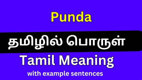 Punda meaning in Tamil Punda தமழல பரள YouTube