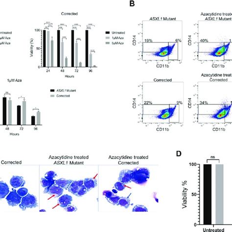 ASXL1 Mutation Leads To Increased Chromatin Accessibility And Increased