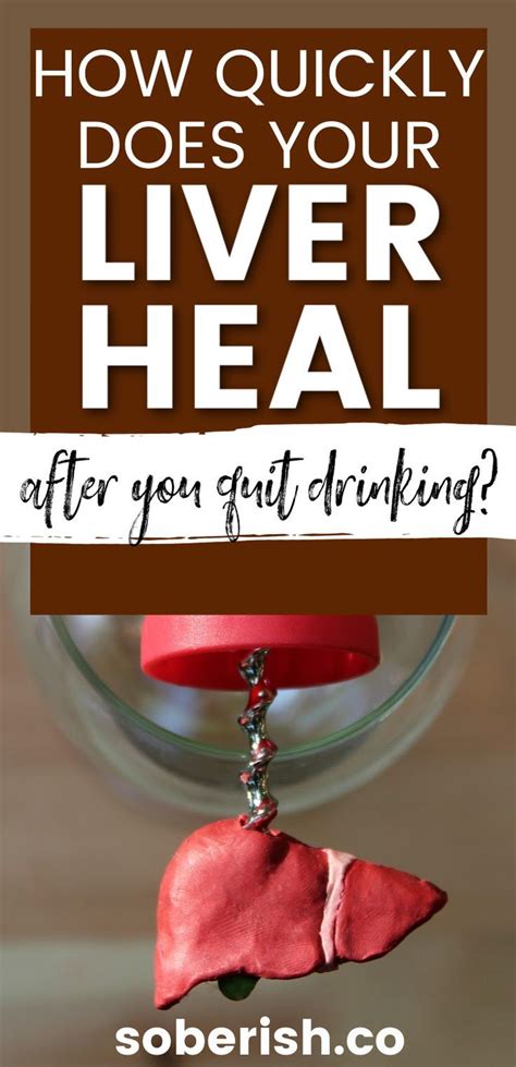 Healing Your Liver After Quitting Alcohol A Timeline