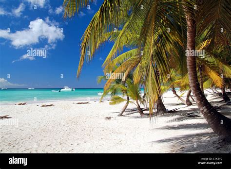 Caribbean beach with white sand Stock Photo - Alamy