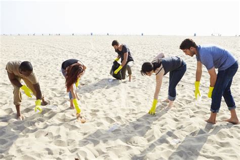 Groupe De Volontaires Rangeant Des D Chets Sur La Plage Photo Stock