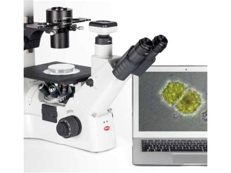 Motic Ae E Trinocular Inverted Microscope With Led Illumination