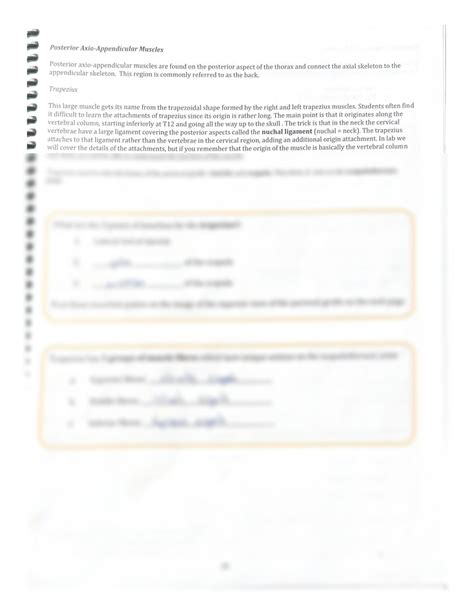 Solution Lab Axio Appendicular And Scapulohumeral Muscles And The