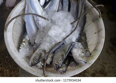 Pontian Fish Market Pasar Awam Pontian Stock Photo 1173934534