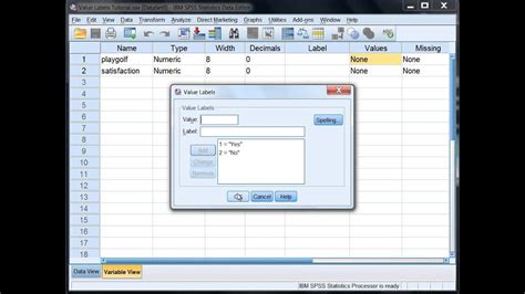 How To Create Variable Labels In Spss Youtube