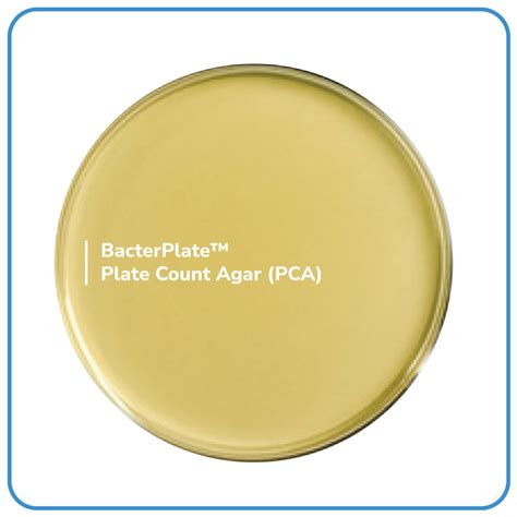 Bacterplate Plate Count Agar Pca Labone Scientific Co Ltd