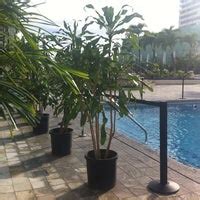 Waikiki Beach Marriott Pool - Waikiki - 8 tips