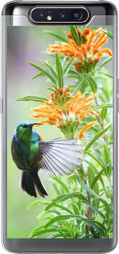 Samsung Galaxy A Hoesje Close Up Van Een Kleurrijke Vogel Naast