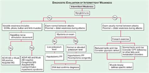 Advances In The Diagnosis Of Inherited Neuromuscular, 54% OFF