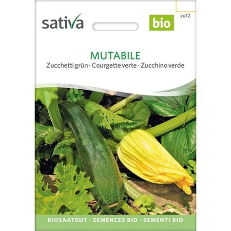 Sativa Courgette Verte Bio Mutabile Sachet Bloomling France