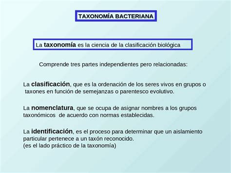 Clasificacion Bacteriana Las Bacterias Taxonomia Biologia Images