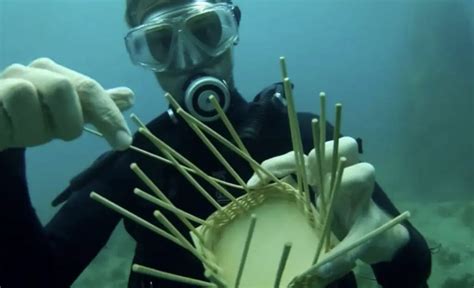 Where Did "Underwater Basket Weaving" Come From? | Mondoro