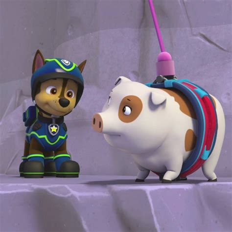 Paw Patrol Seizoen 5 Afl 4 Pups Redden Een Hoog Vliegende Skye Pups Gaan Voor Het Goud