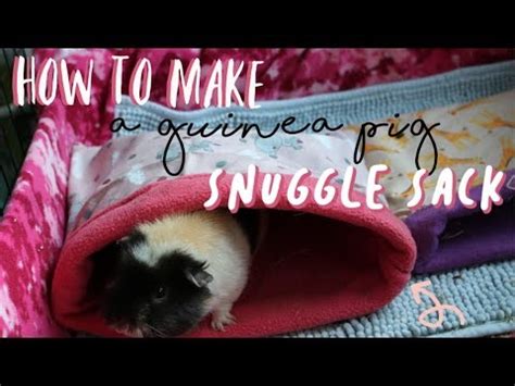 How To Make A Guinea Pig Snuggle Sack Youtube