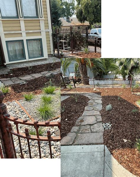 Xeriscaping Barrows Landscaping