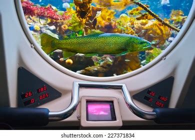 3,525 Submarine window Images, Stock Photos & Vectors | Shutterstock