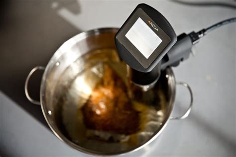 For Home Chefs On A Budget Sous Vide Cooking Heats Up Wired