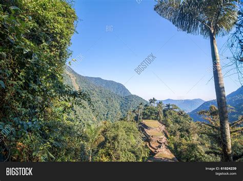 Colombia's Lost City Image & Photo (Free Trial) | Bigstock