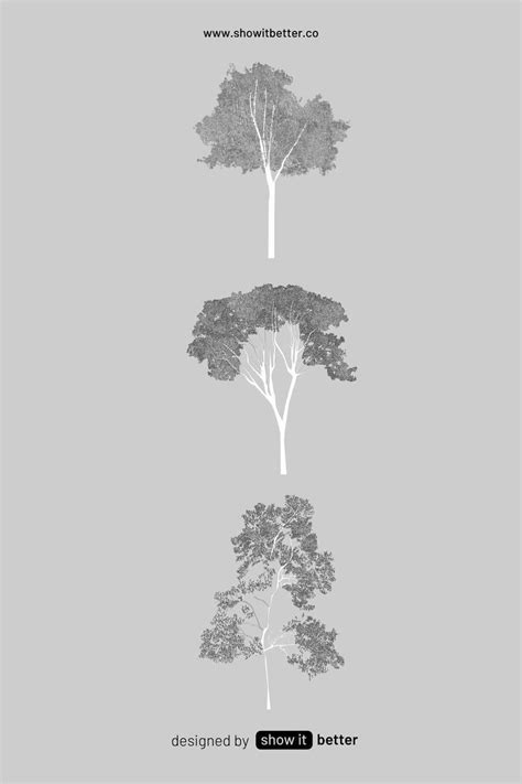 Broadleaf Trees Elevation Pack Architectural Trees Tree Photoshop