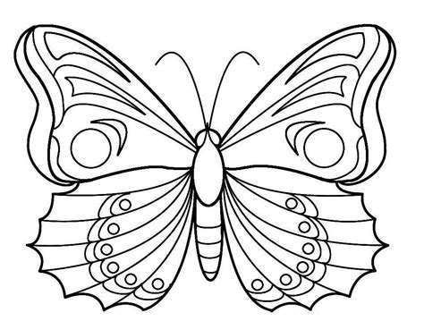 Coloriage Papillon Des Photos Du Papillon Imprimer Et Colorier Az