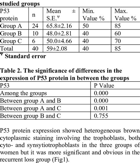expression  p protein    scientific diagram