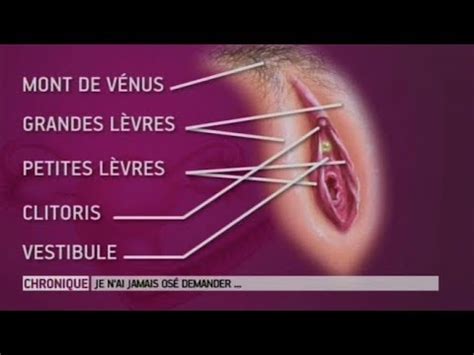 Le complexe de la vulve Le Magazine de la santé YouTube