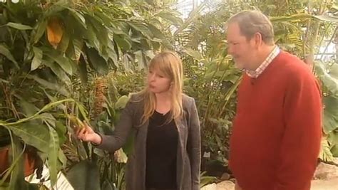 Observatoire Du Monde Des Plantes Interview Mme Sophie Pittoors Sur