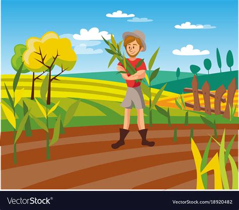 Male farmer harvesting crop cultivated Royalty Free Vector