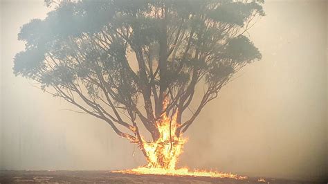 How Does Australia Move On From These Bushfires