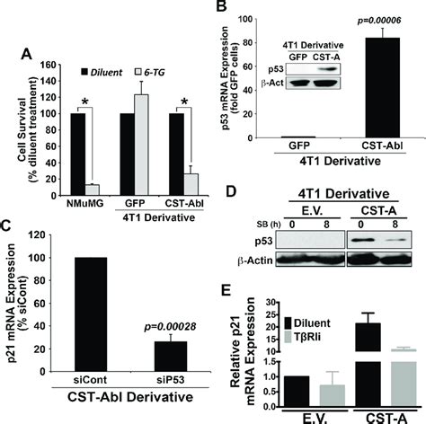 C Abl Induces P21 Expression Via A Tgf β1 Dependent Reactivation Of P53 Download Scientific