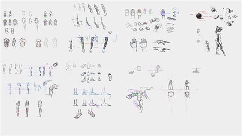 ArtStation - Figure Drawing Essentials | Tutorials