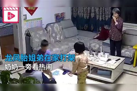 大连一龙凤胎姐弟在家打架，奶奶一旁看热闹，爸爸：我不能拉偏架