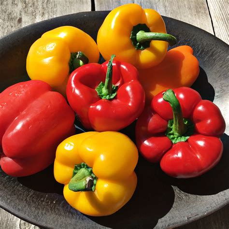 Which Peppers do you Pick? Red, yellow, orange or green?