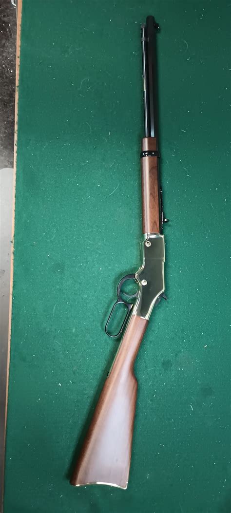 Henry Golden Boy 17 Hmr For Sale