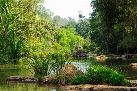 8 Best Places To Visit In Wayanad Popular Sightseeing And Tourist