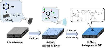 Two Dimensional Sulfonated Molybdenum Disulfide SMoS2 Thin Film