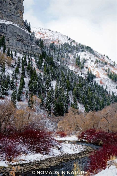 Best Of Provo Utah 15 Fun Things To Do In Provo Summer Winter Artofit