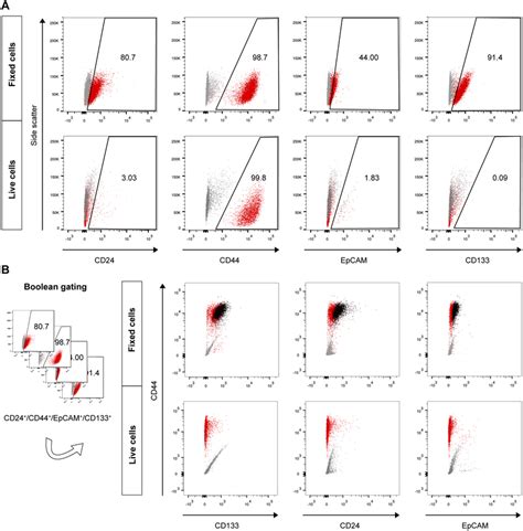 Flow Cytometric Analysis Of The Expression Of Csc Markers In Fixed And