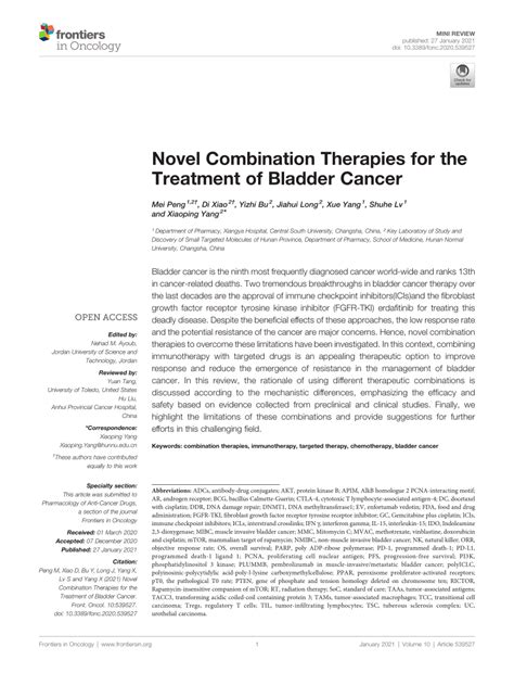 Pdf Novel Combination Therapies For The Treatment Of Bladder Cancer