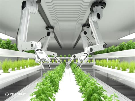 Use Of Artificial Intelligence Ai In Agriculture Medium