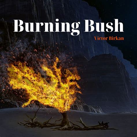 Burning Bush - pianoimprovictor