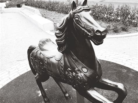 Premium Photo | Close-up of horse statue in park