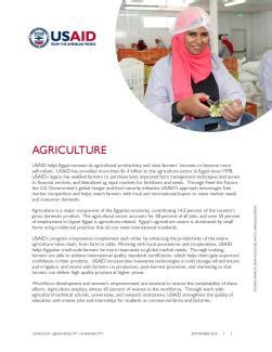 USAID/Egypt Agriculture Fact Sheet | Document | U.S. Agency for ...