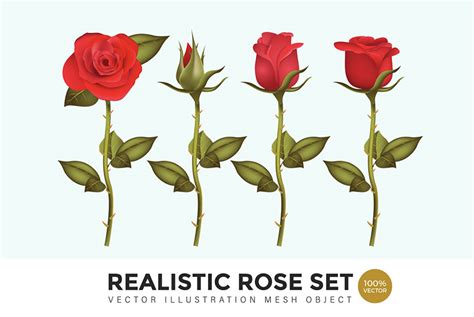 50 Best Rose Art Files Vector And Psd Envato Tuts