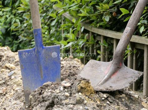 Pelle De Jardin Tête Manche Matériaux Comment Choisir