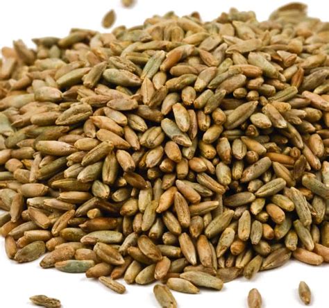 Rye Berries | Bulk Priced Food Shoppe