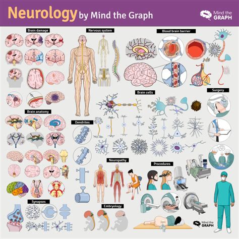 Neurological disorders: Medical illustrations to understand -Mind the ...