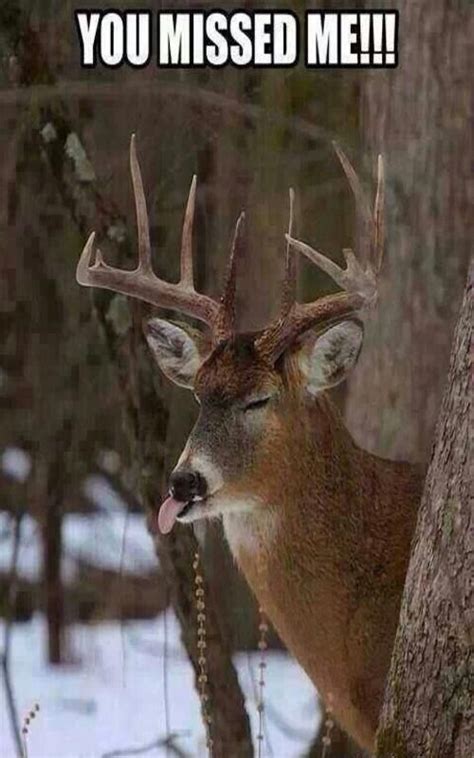 My Boyfriend Missed A Massive Mule Deer At About 450 Yards Too Bad