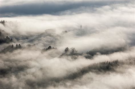 Free Images Tree Nature Horizon Snow Cloud Sky Fog Mist