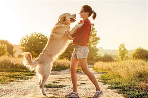 How To Strengthen Your Bond With Your Dog